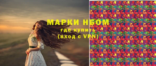 таблы Богородицк
